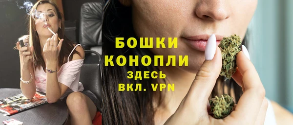 Альфа ПВП Верея