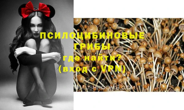 Альфа ПВП Верея
