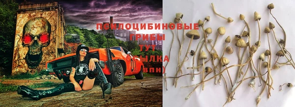 Альфа ПВП Верея