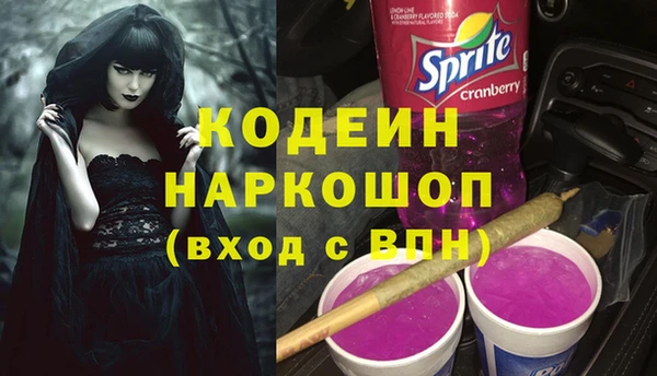 Альфа ПВП Верея