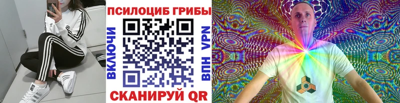 Галлюциногенные грибы Psilocybine cubensis Набережные Челны